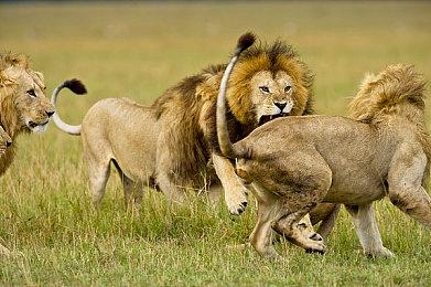 禁止尖叫 又一款麦克风必备恐怖探索新游《Shhh!》Steam页面上线